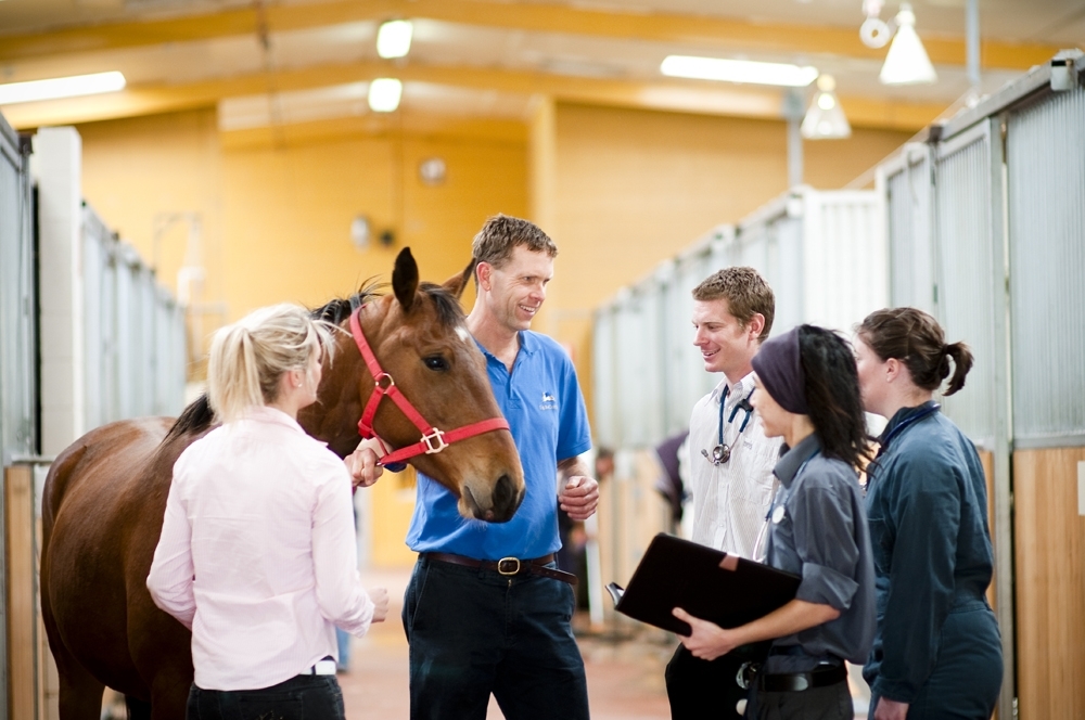 University of Melbourne Doctor of Veterinary Medicine | OzTREKK