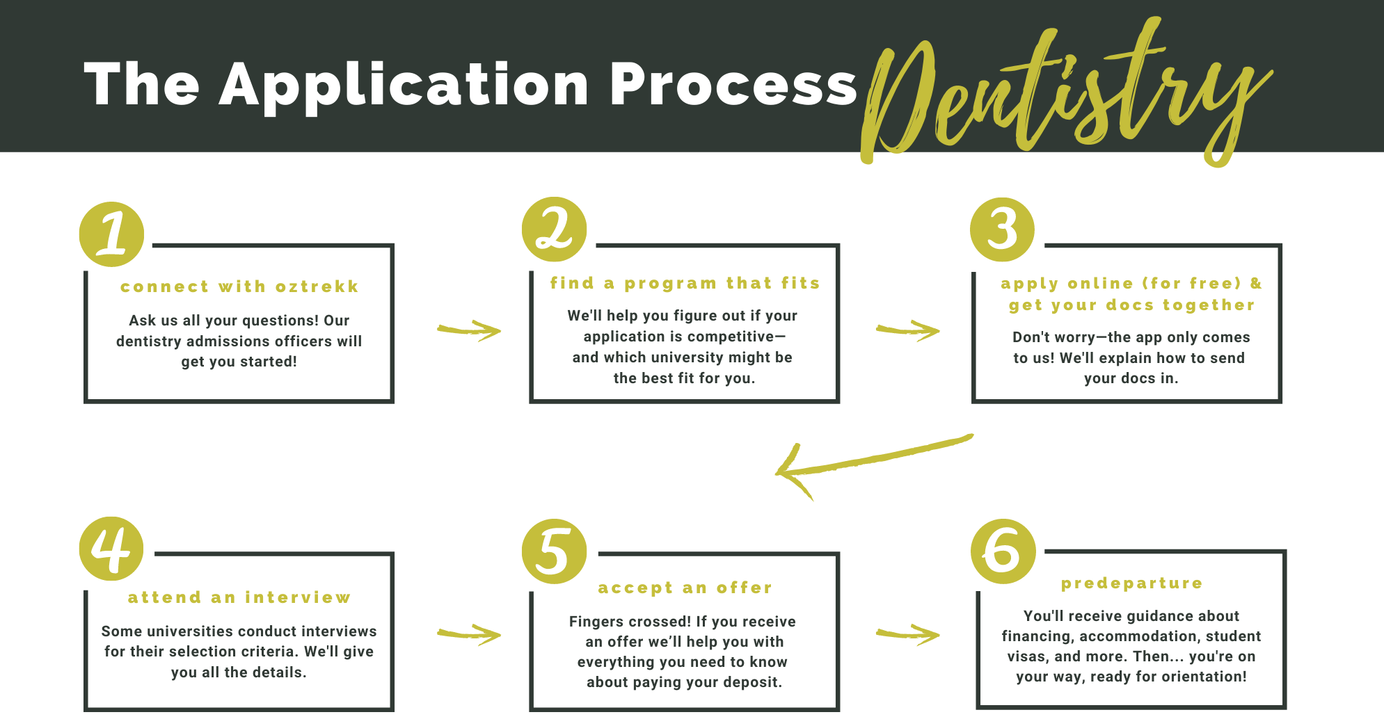 app-process-dentistry-website dental school application process