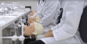 UQ Dental School students with manikins