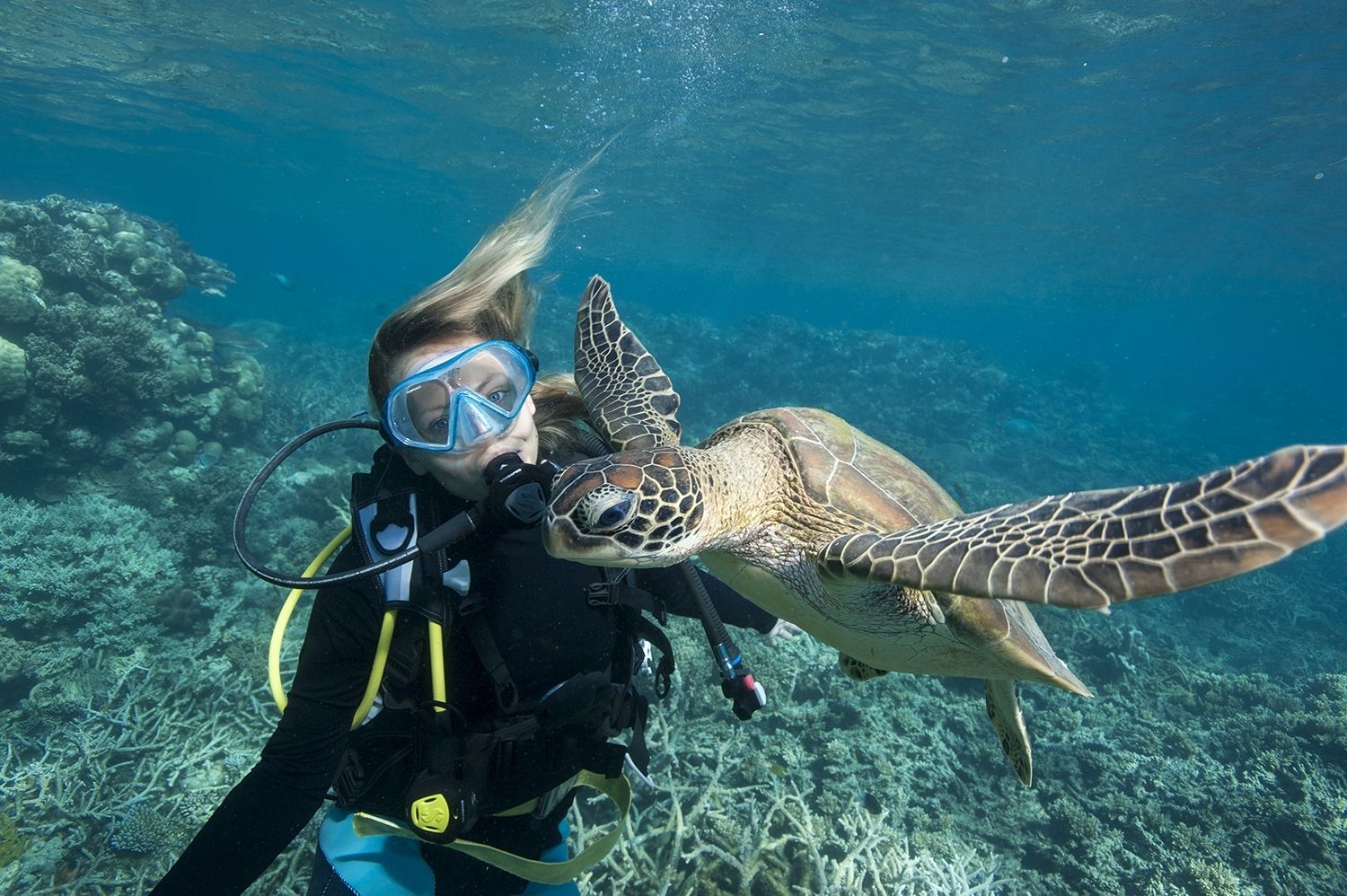 Oceanography Vs Marine Biology Oceanography Wikipedia Oceanography Vs Marine Biology Oceanography Wikipedia