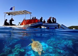 JCU research boat with sea turtle great barrier reef