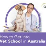 how to get into vet school in australia