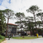 curtin university campus