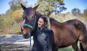 Learn more about the Murdoch BSc/DVM woman with horse