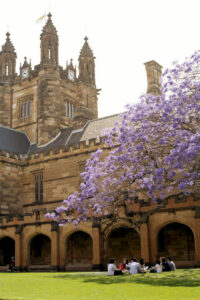 Learn more about the University of Sydney University of Sydney clocktower exterior with purple jacaranda tree in bloom